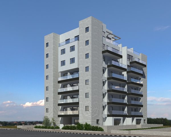 דוב גור 32